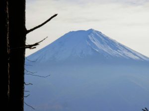 海老名植木屋江隆園　謹賀新年　富士山